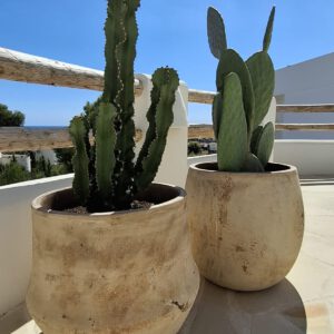 WhatsApp Image 2025-10-02 at 12.57.59